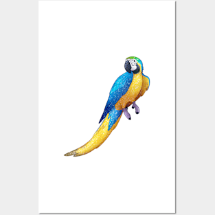 Cozy Macaw Posters and Art